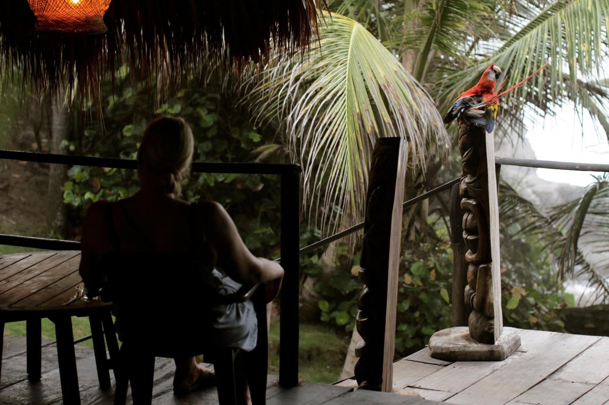 Hotel Barlovento Maloka, Tayrona Park